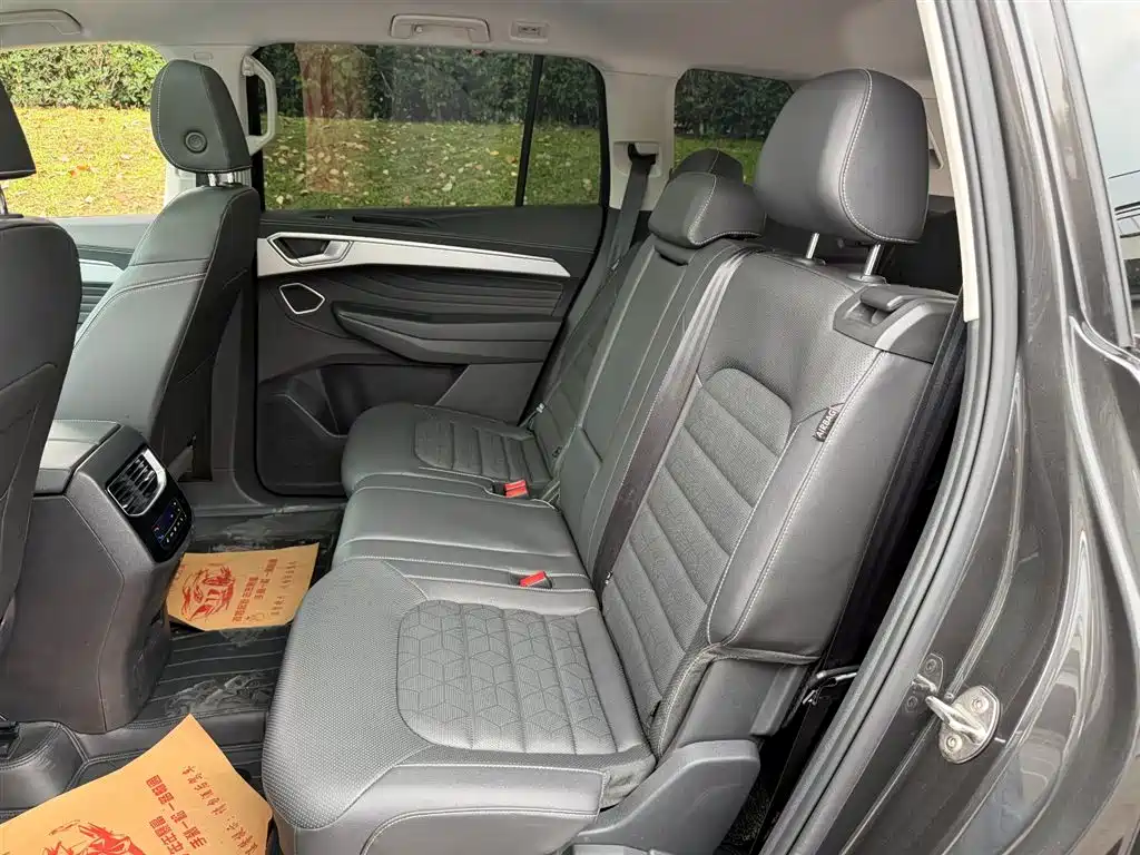 VOLKSWAGEN LANJING