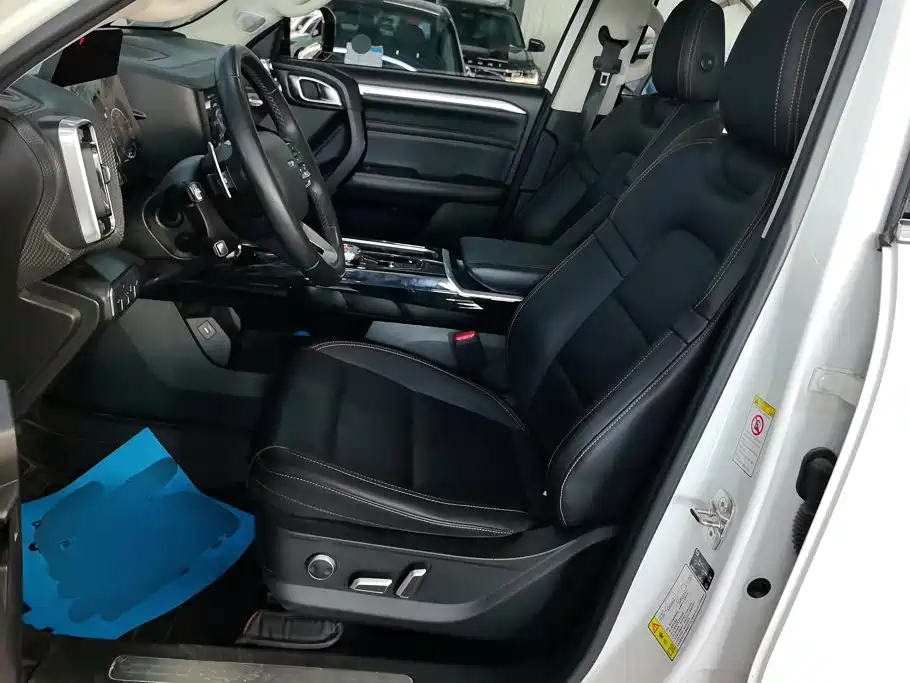 Haval Dargo 2021 2021 2.0T DCT 4WD Chinese Rural Dog Edition