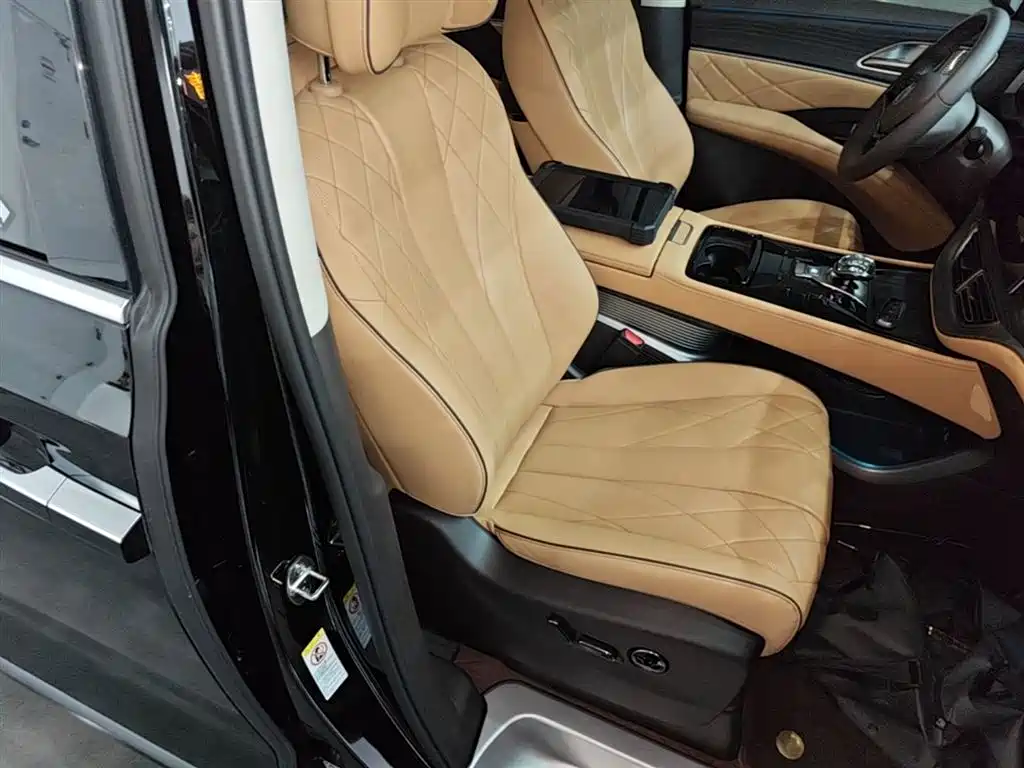 Denza D9 2024 DM-i 980 AWD Prestige фото 25