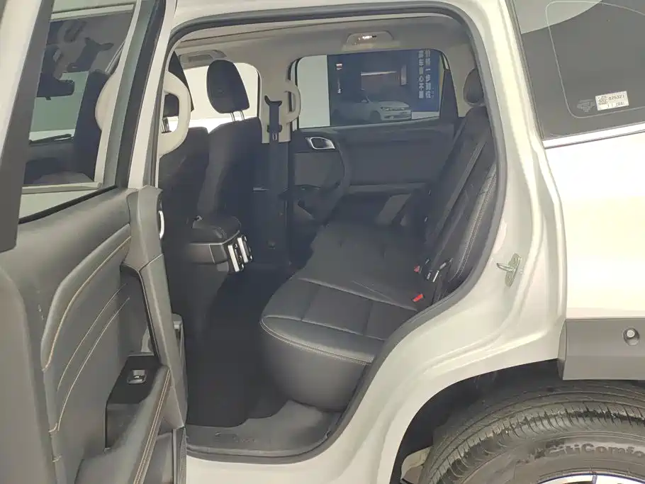 Haval Dargo 2025 2024 2.0T DCT Chinese Rural Dog Edition