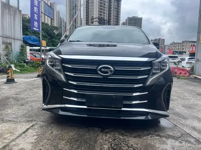 GAC Trumpchi M8 2020 390T Premium