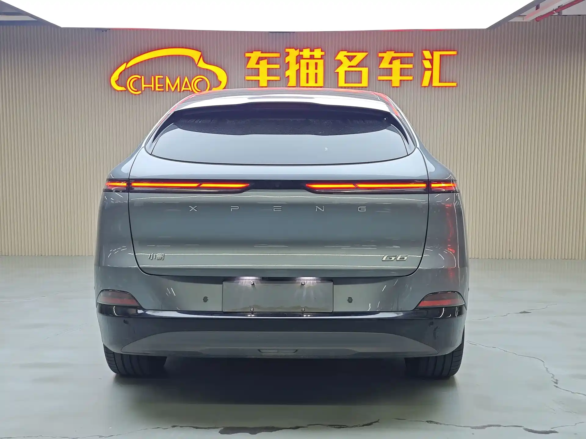 Фото 20 - XPeng G6