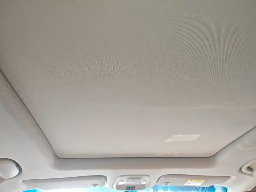 Фото 9 - Buick GL6