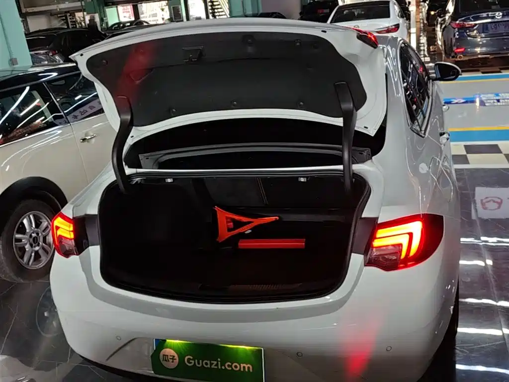 Buick Regal 2019 Model 20T Elite Type China V фото 19