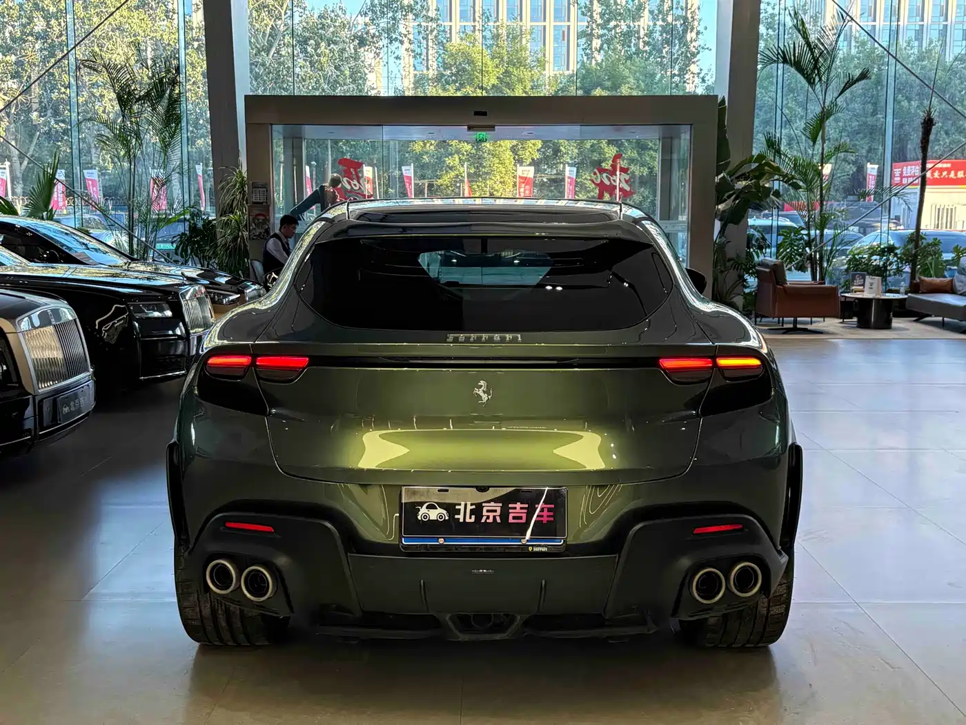 FERRARI PUROSANGUE