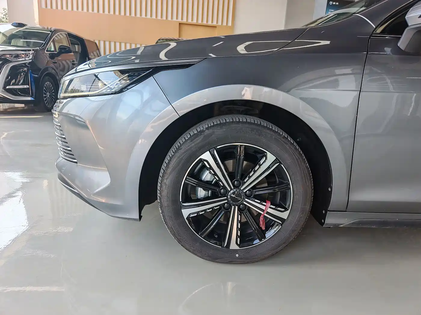 BYD Destroyer 05 2023 Champion Edition DM-i 120KM Premium фото 5