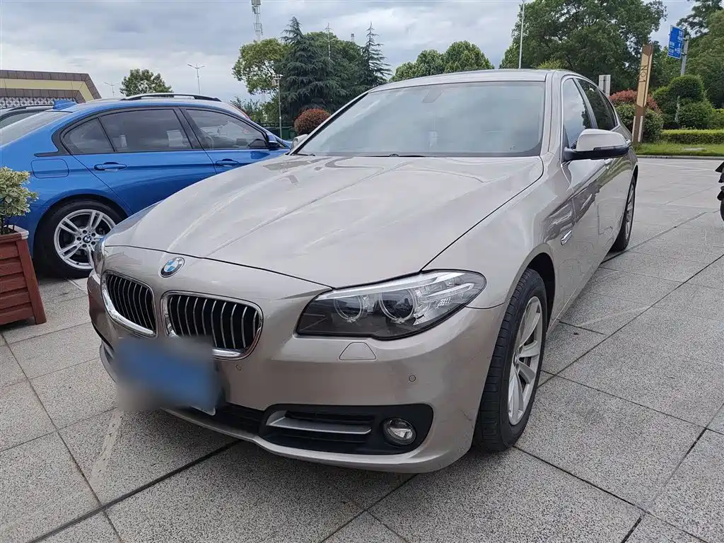 BMW 5 Series 2014 520Li Elegance фото 4