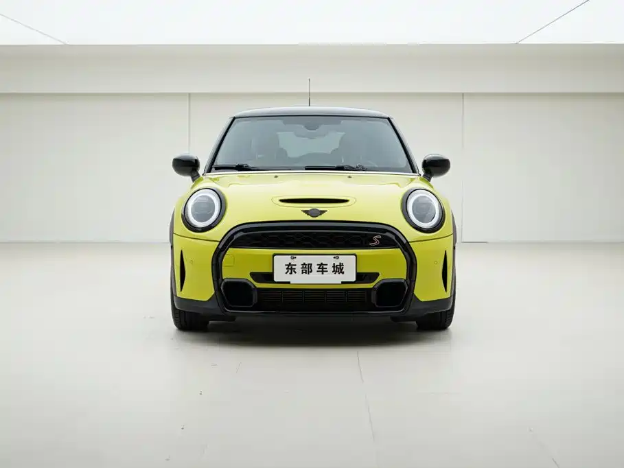 MINI MINI 2024 2023 Facelift 2.0T COOPER S Artist