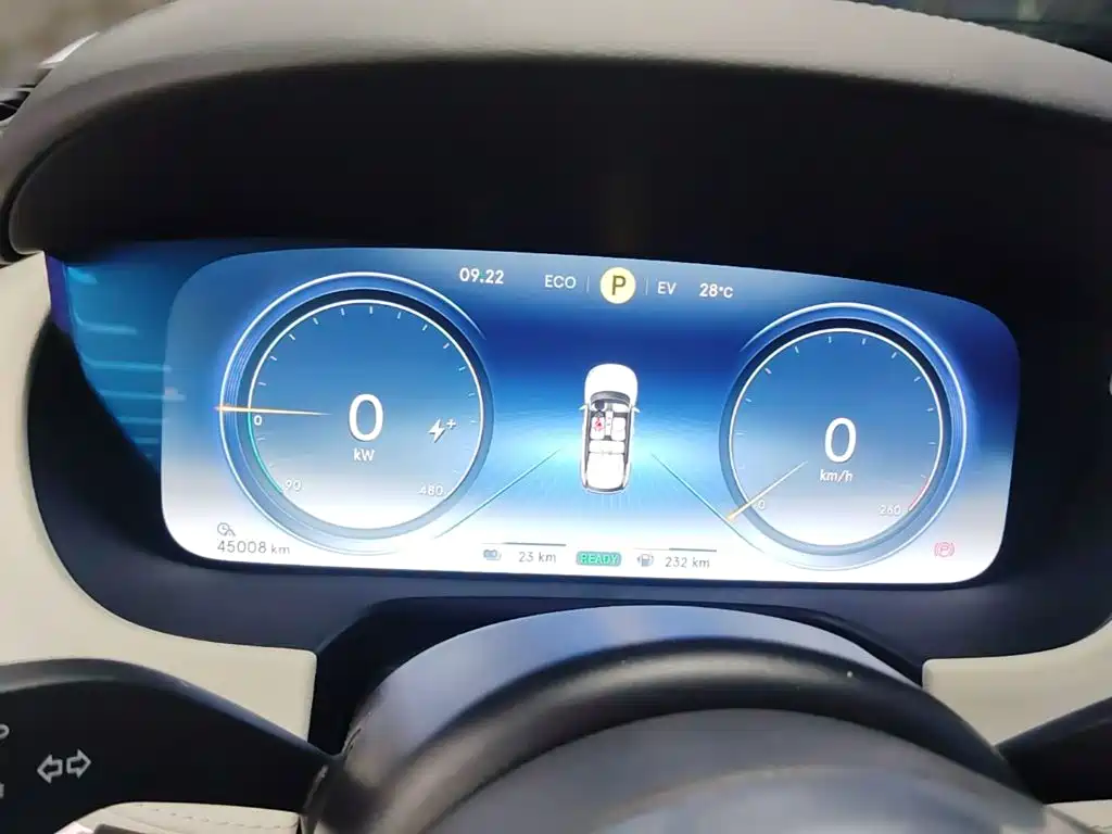 Denza X 2021 2020 Model PHEV Flagship Edition
