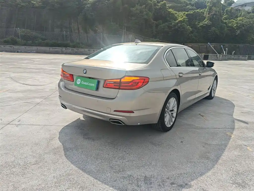BMW 5 Series 2018 525Li Luxury Package фото 7
