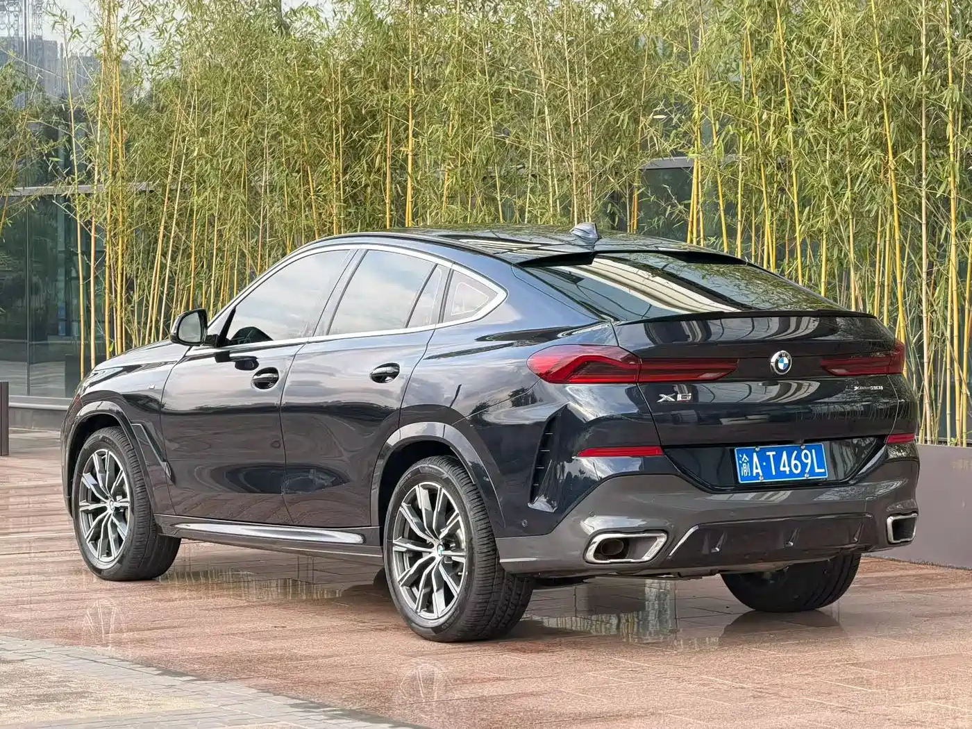 BMW X6