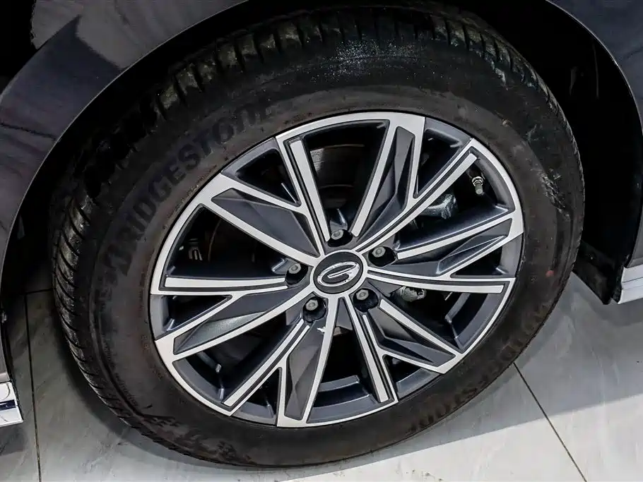 GAC Trumpchi Trumpchi M8 2024 Master Series 400T Premium Edition фото 30
