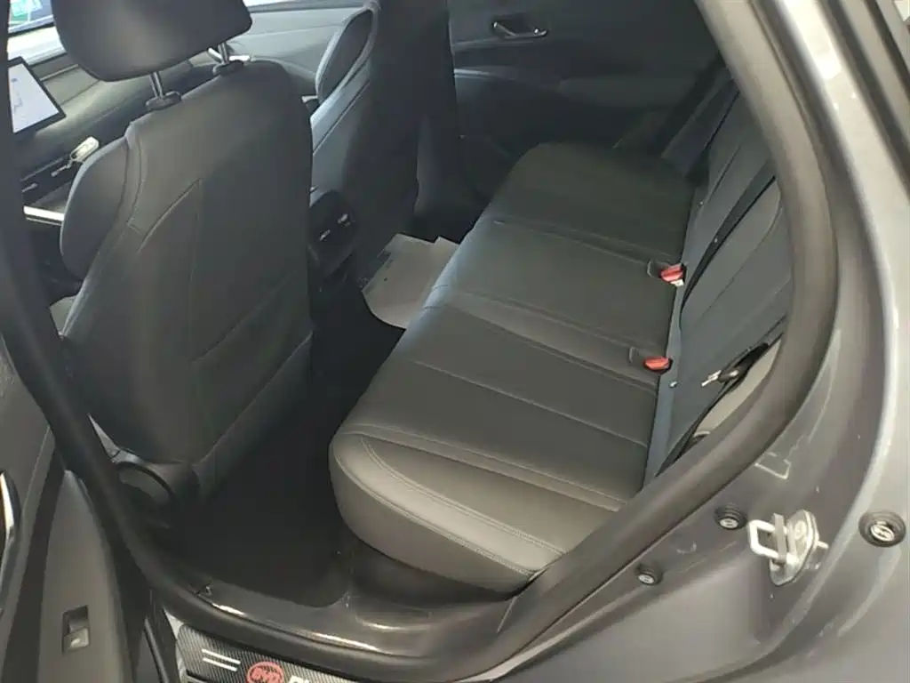 BYD Qin PLUS 2025 DM-i Smart Drive 55KM Leader фото 17