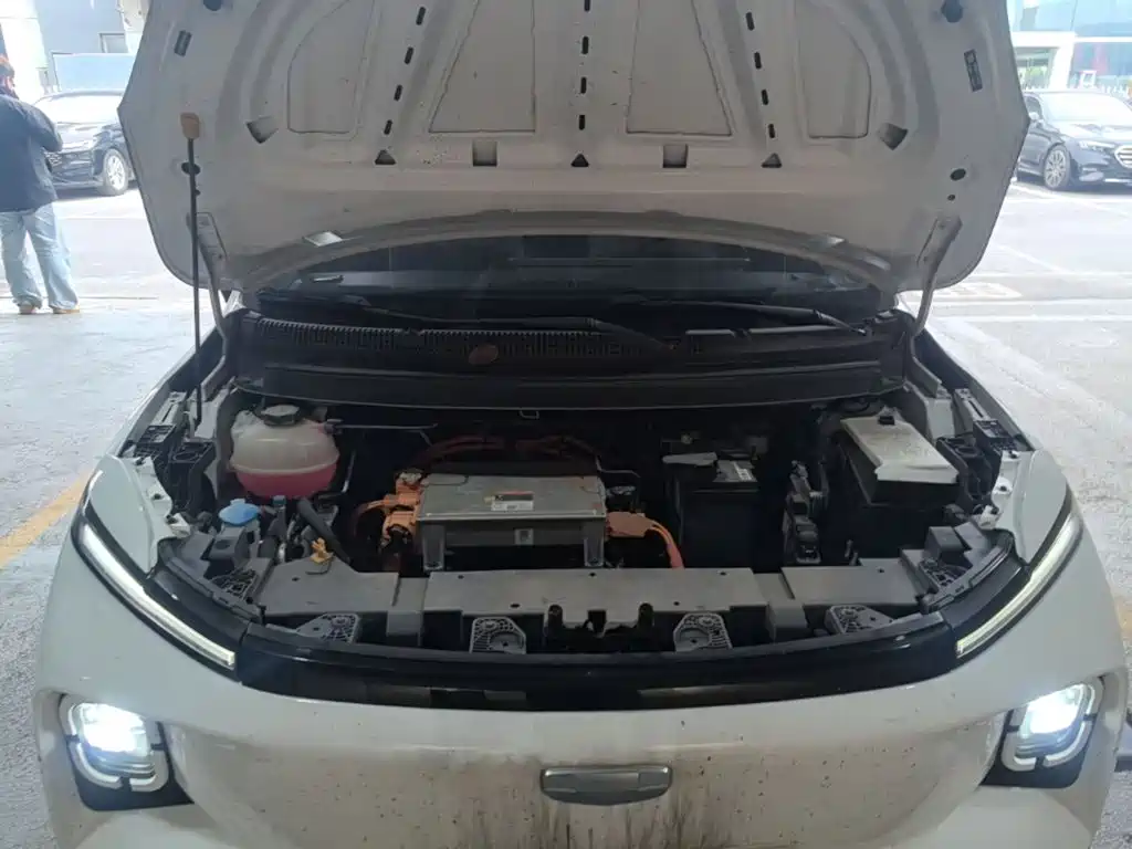 Фото 20 - Geely Geometry E Firefly