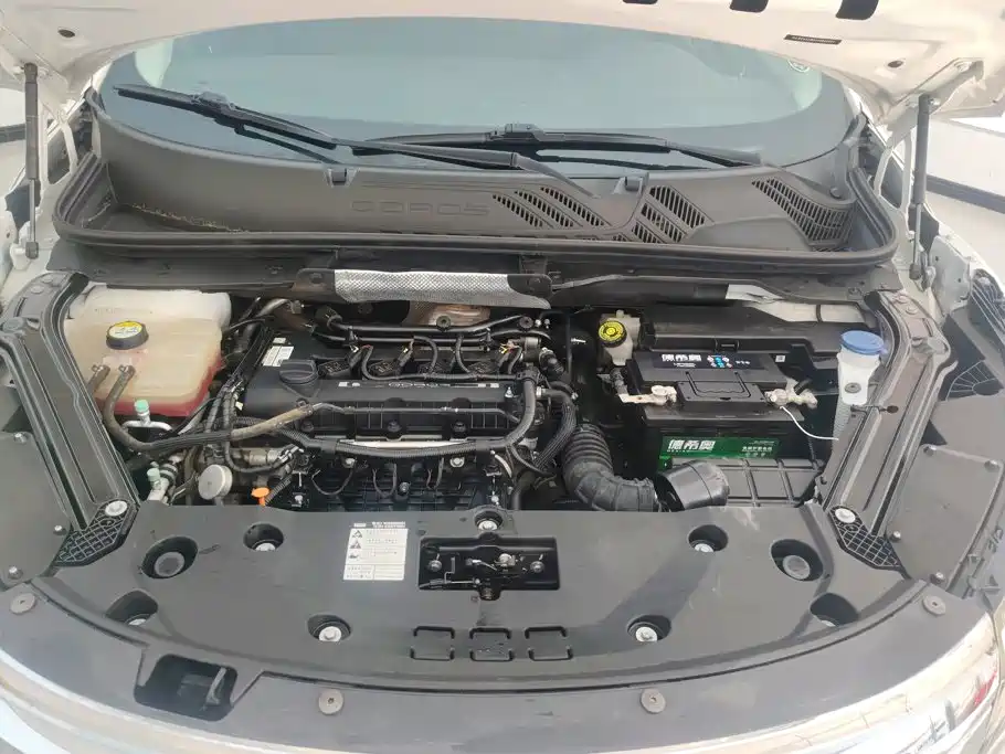 Photo 10 - Qoros 5