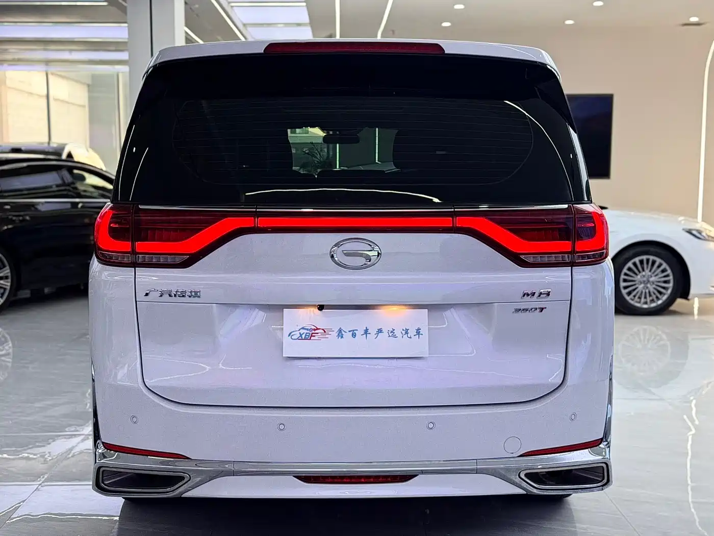 GAC Trumpchi Trumpchi M8 2023 Leading Series 390T Luxury Edition фото 9