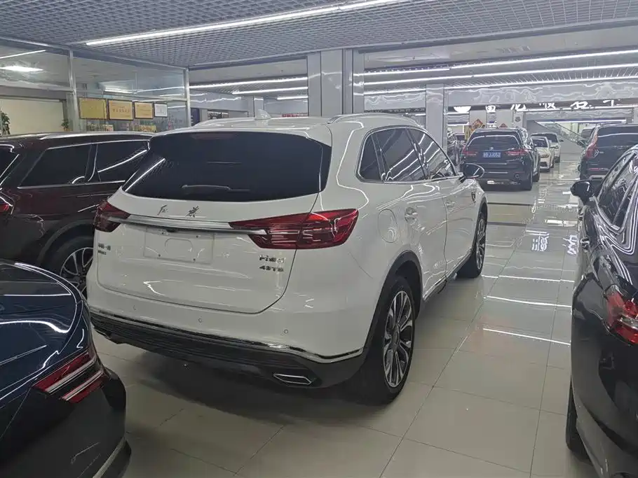 Hongqi HS5 2019 2.0T Smart Connect Enjoy 4WD Edition фото 3