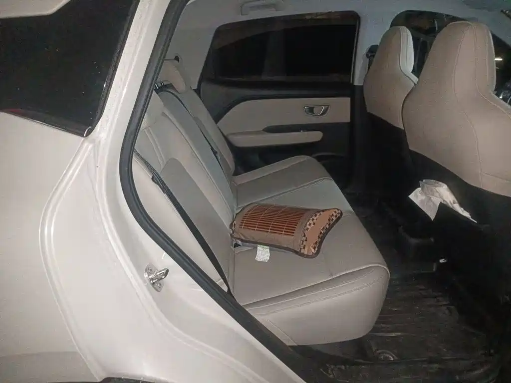 Wuling Motors Wuling Binguo PLUS 2025 2024 Model 330km 5-Seater