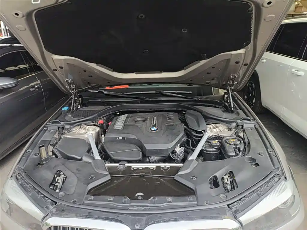 BMW 5 Series 2020 525Li Luxury Package фото 20