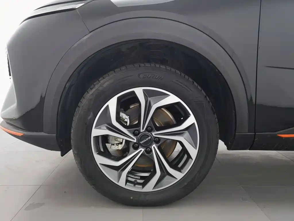 Haval Shenshou 2023 2022 1.5T Smart Enjoyment Edition
