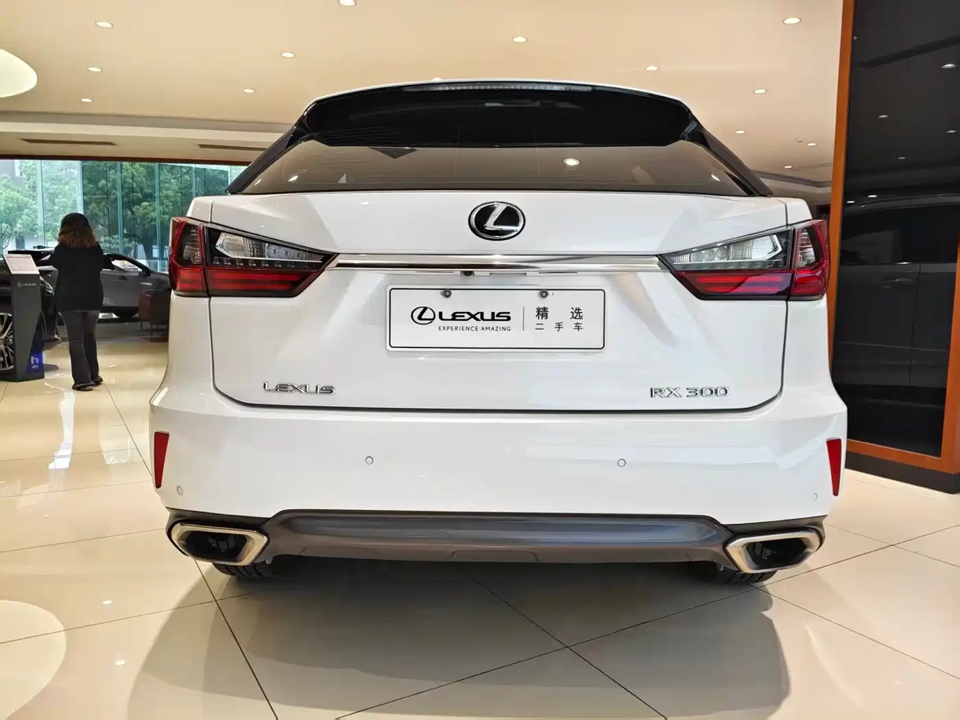 Lexus RX 2016 300 2WD Elite Edition (China V) фото 8