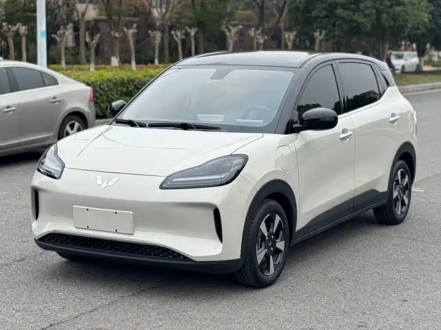 WULING WULING BINGGUO PLUS