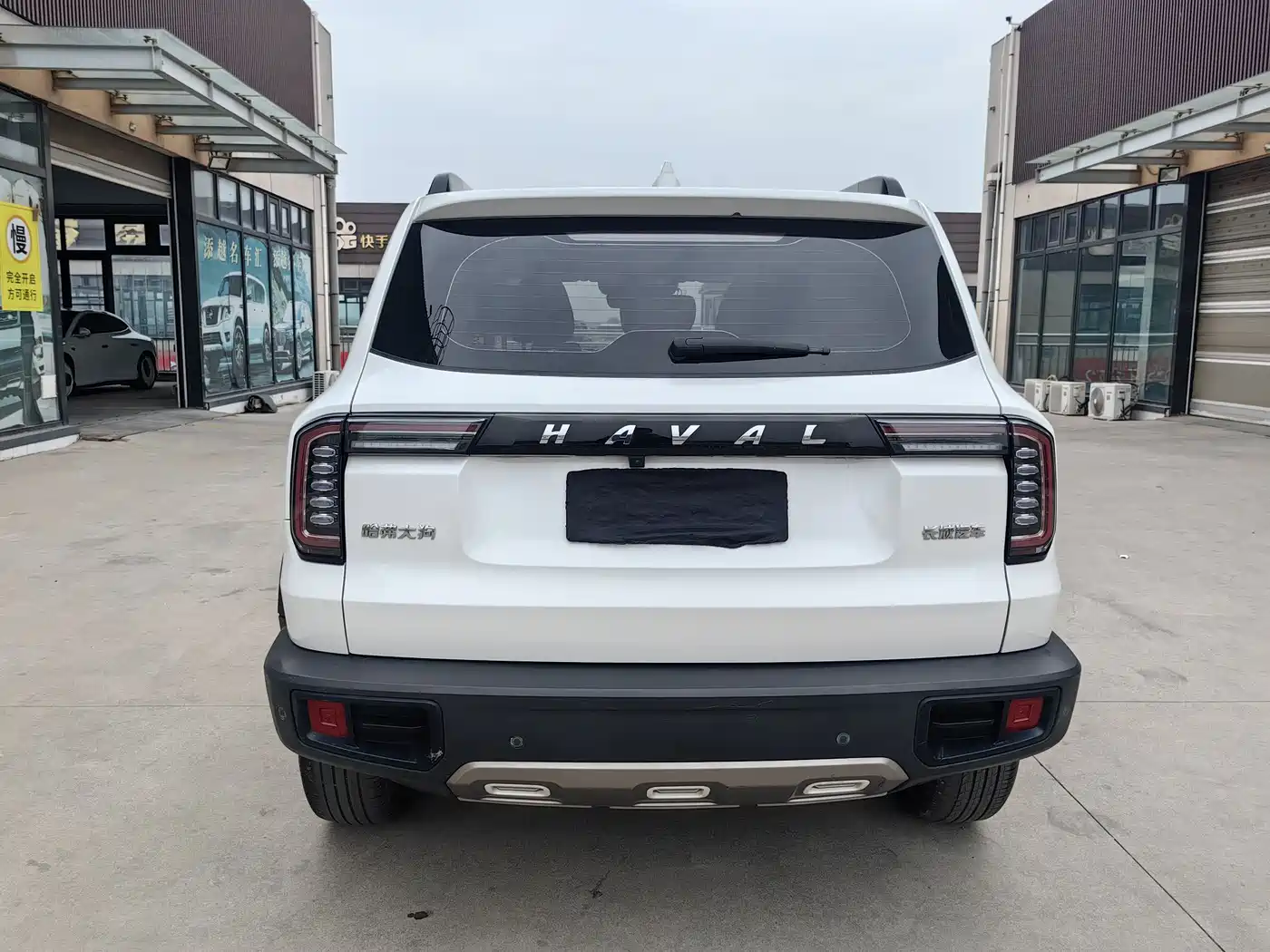 Haval Big Dog 2021 1.5T DCT 2WD Border Collie - Wangcai Edition фото 8