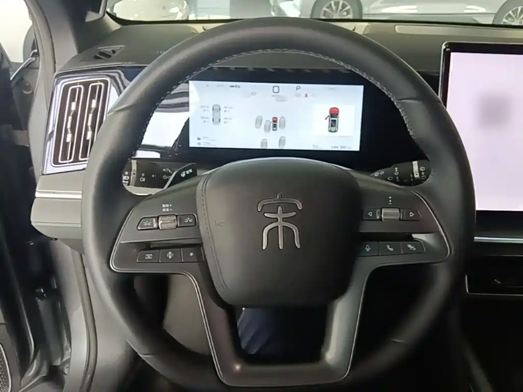 BYD Song L DM-i 2025 2025 Smart Drive 160km Premium