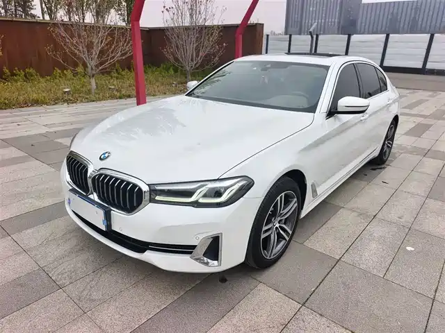 BMW 5 Рестайлинг, 530Li xDrive, Люкс-пакет
