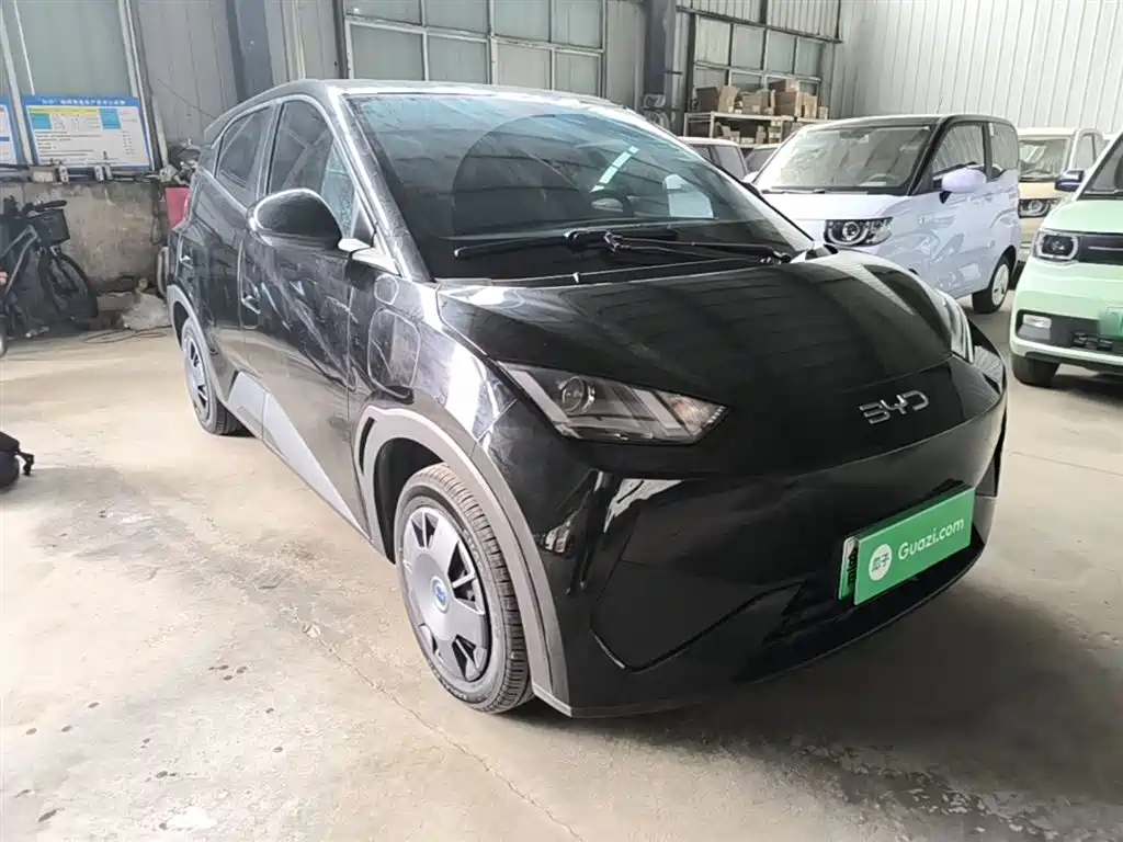 BYD Seagull 2025 Smart Drive Edition 305km Vitality Version фото 4