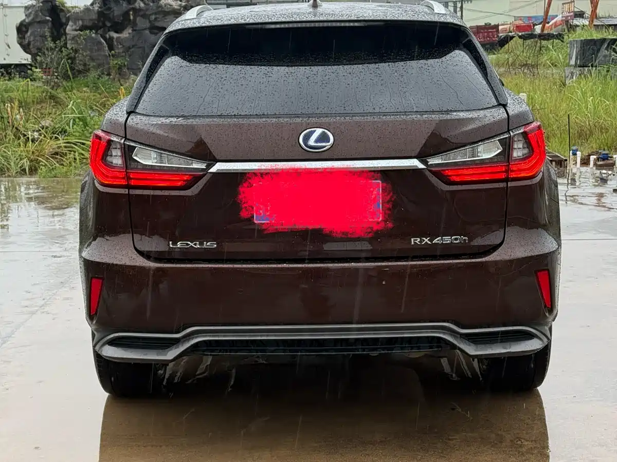 Фото 8 - Lexus RX