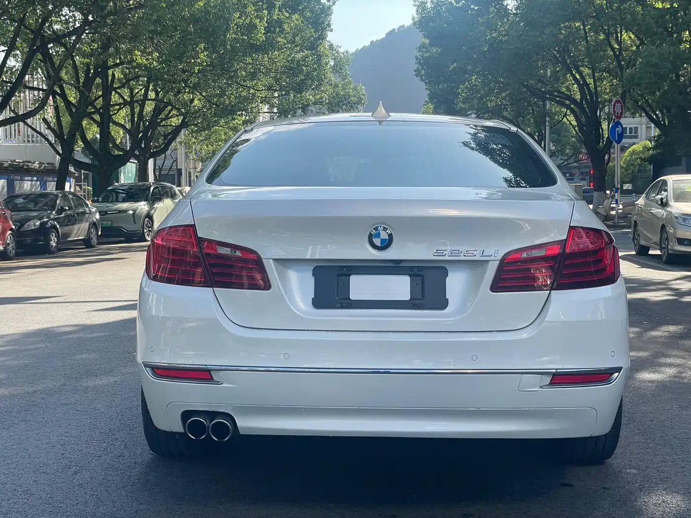 BMW 5 Series 2017 525Li Luxury Design Package фото 6
