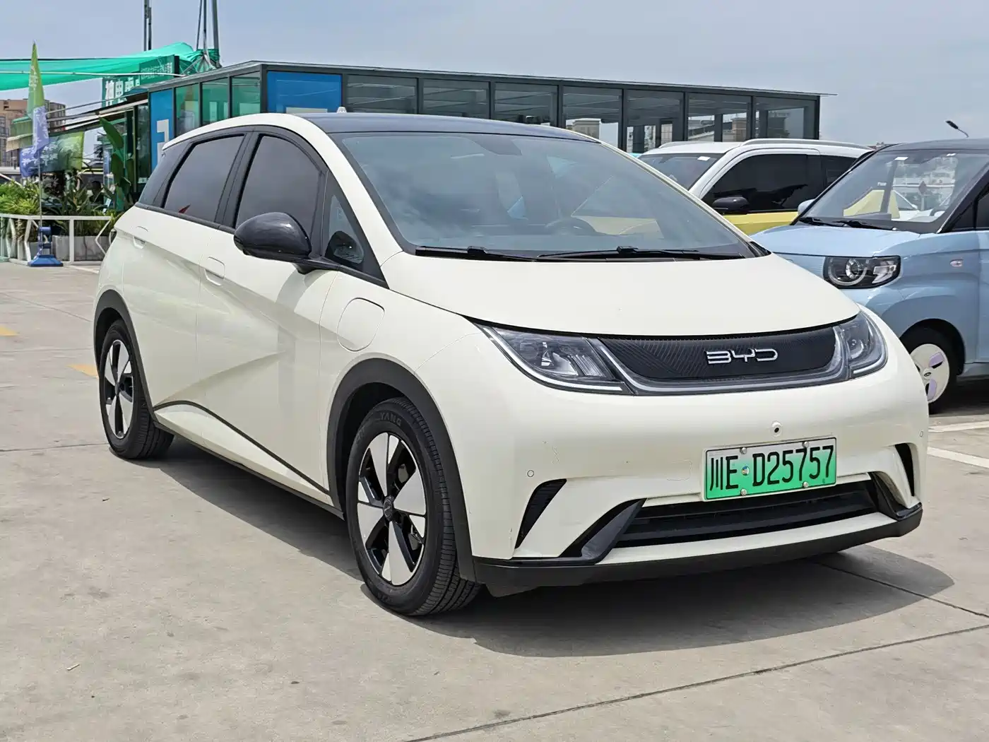 BYD Dolphin 2023 420km Fashion Edition фото 3