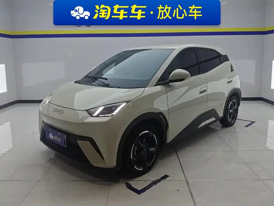 BYD Seagull 2024 Glory Edition 305km Freedom Edition