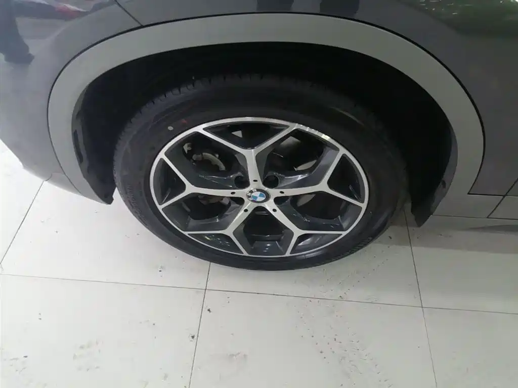 BMW X2 (Import) 2019 sDrive20i M Off-Road Package China VI фото 23