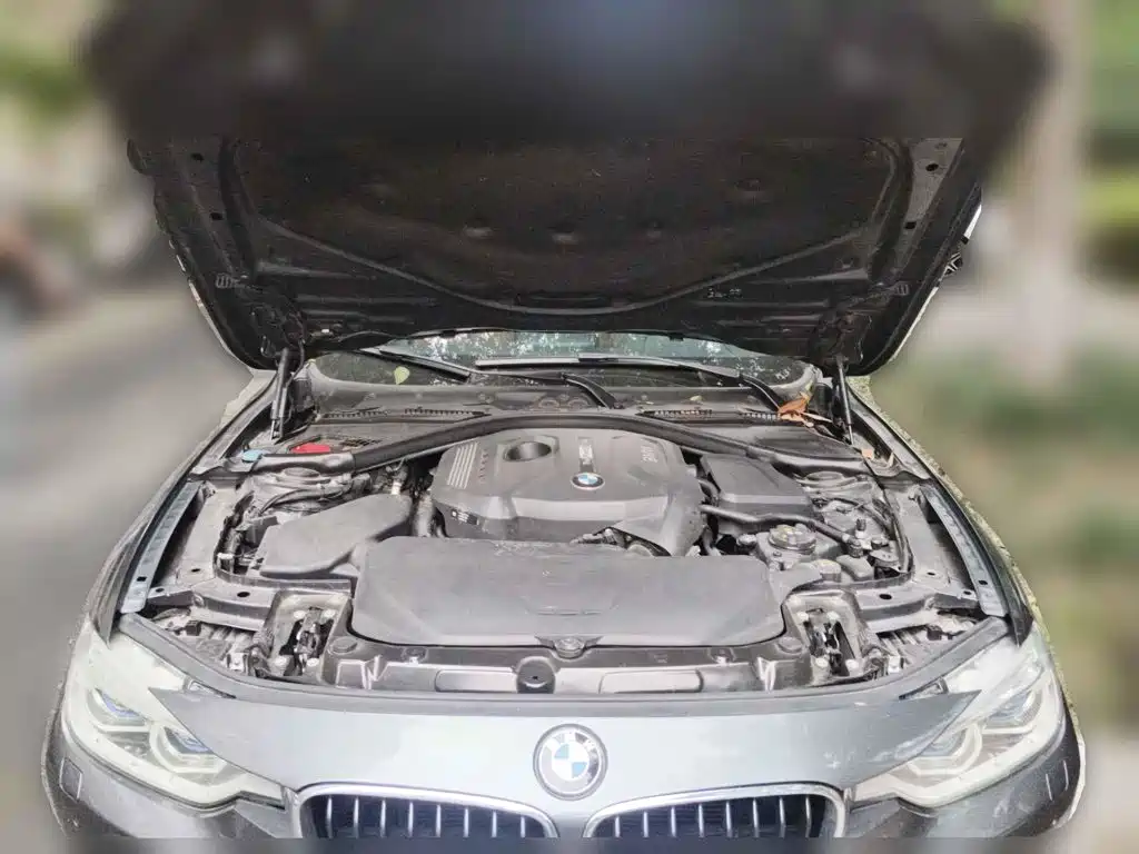 2016 BMW 3 Series (Import)