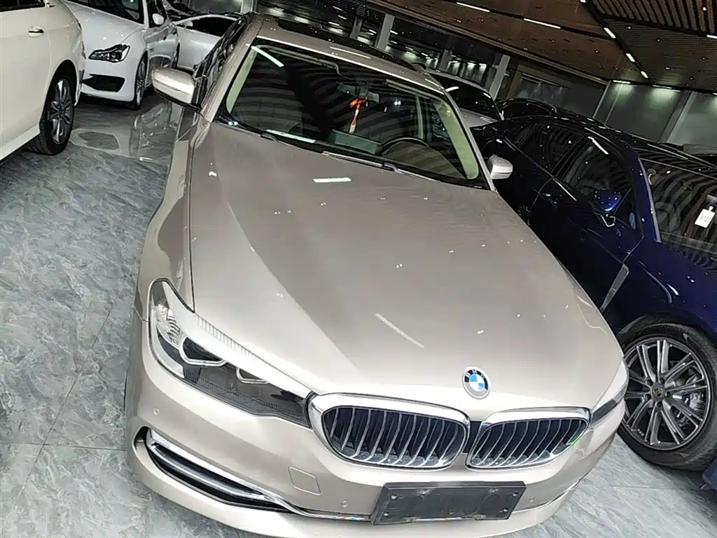 BMW 5 Series 2020 525Li Luxury Package фото 3