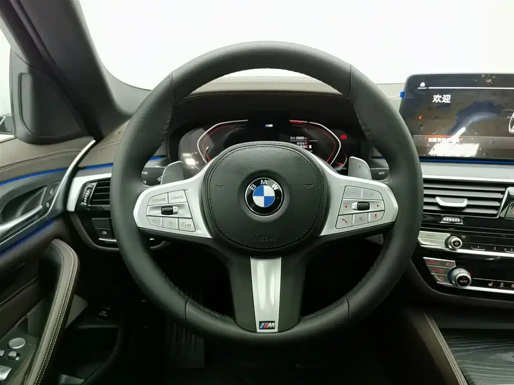 BMW 5 SERIES