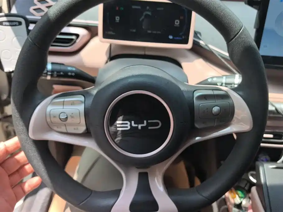 BYD Seagull 2024 Glory Edition 305km Vitality Edition фото 15