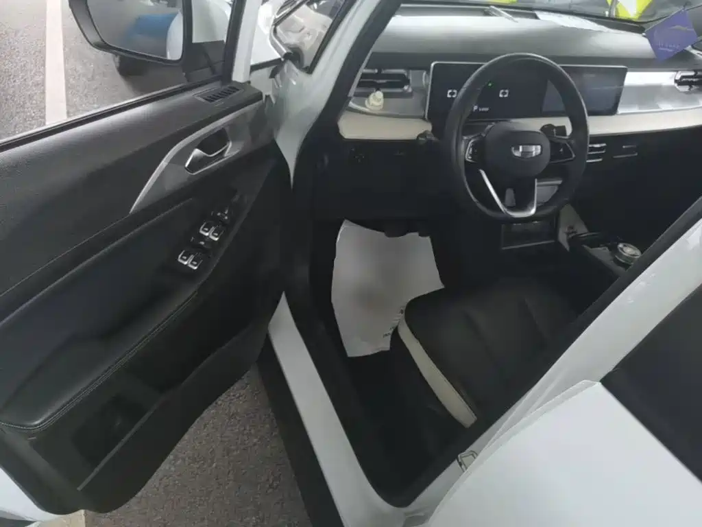 Geely Geometry E Firefly 2023 2022 401KM Delicate Tiger 4-seater