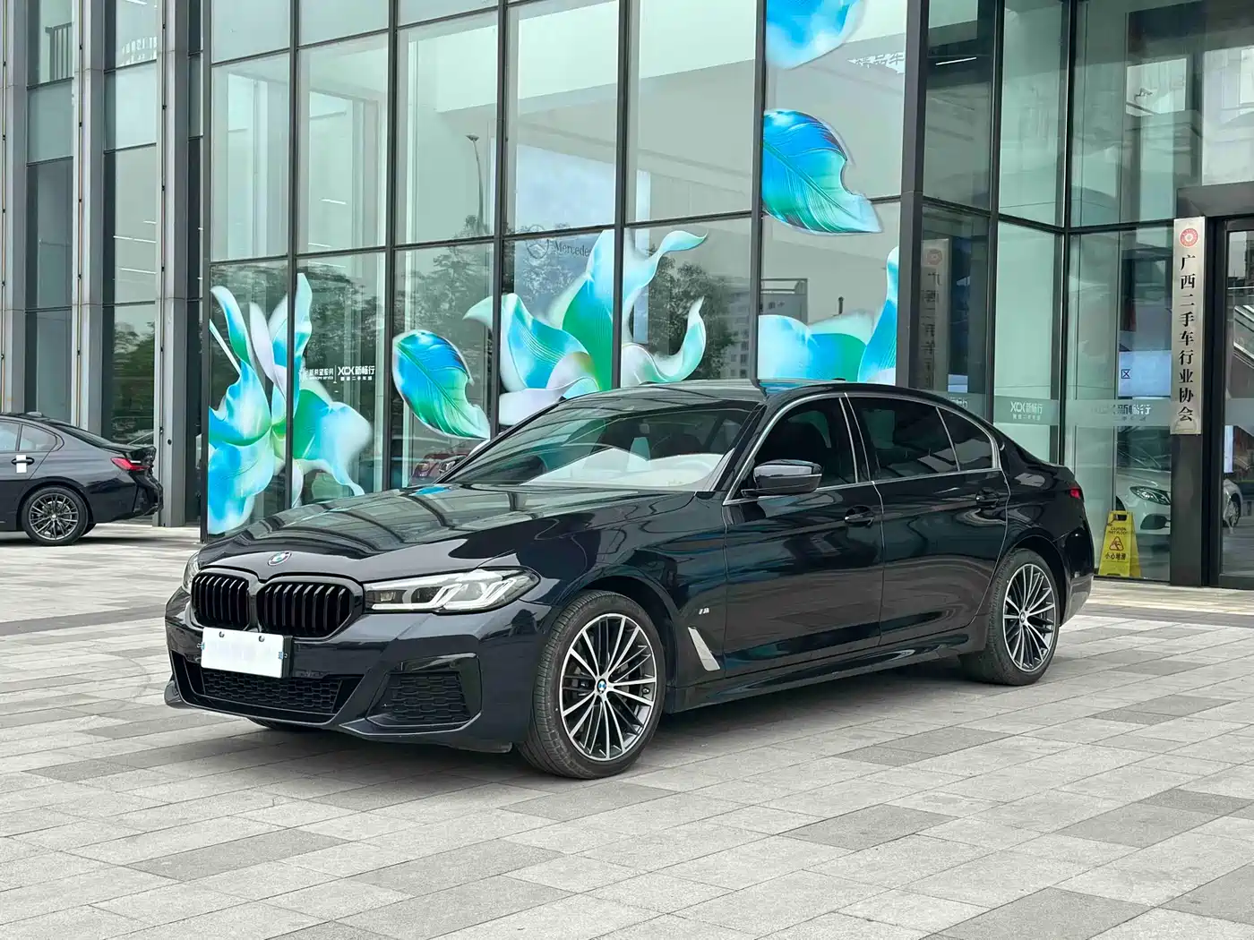BMW 5 Series 2021 530Li Leading M Sport Package