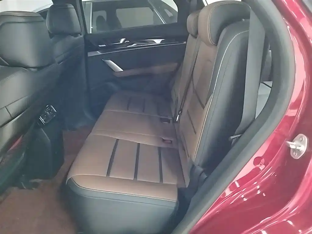 BYD Tang New Energy 2021 DM 2.0T AWD High Performance Premium фото 17