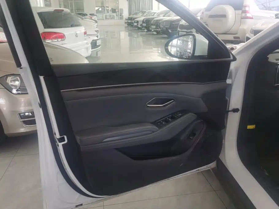 BYD Qin L 2024 2024 DM-i 120KM Leading