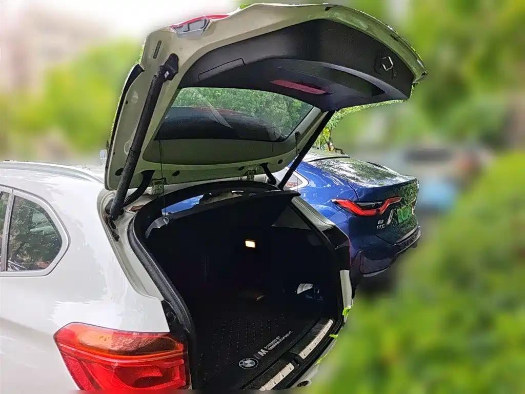 BMW X1 2018 sDrive20Li Leading Model фото 10