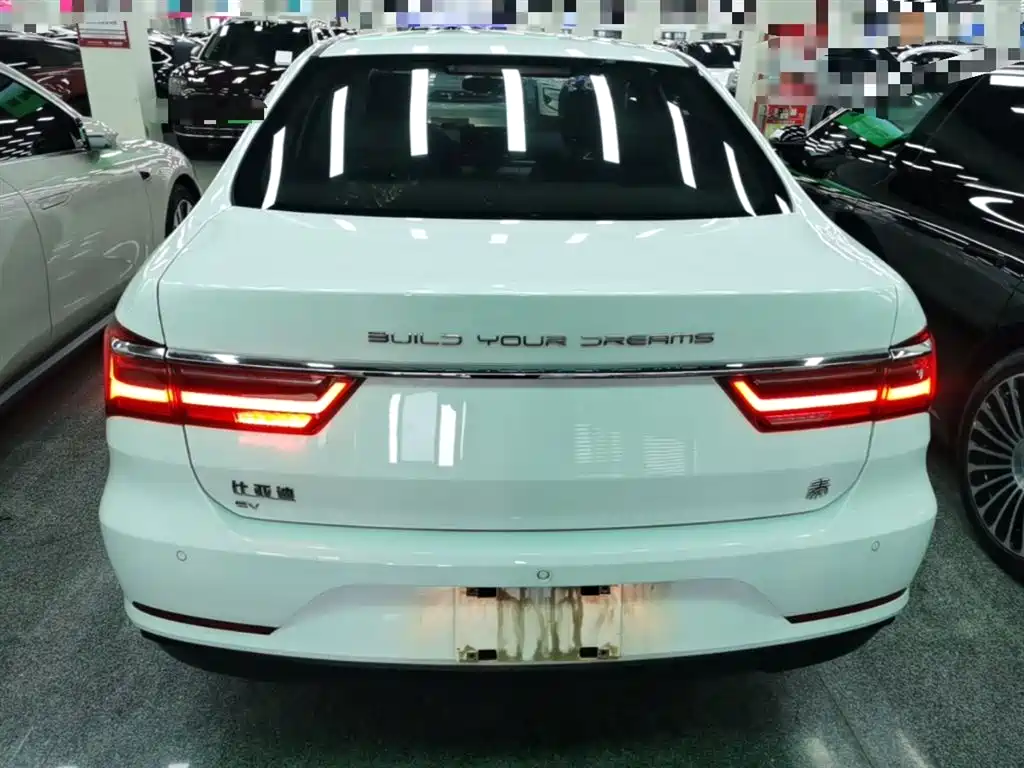 BYD Qin New Energy 2019 Travel Standard Edition фото 6