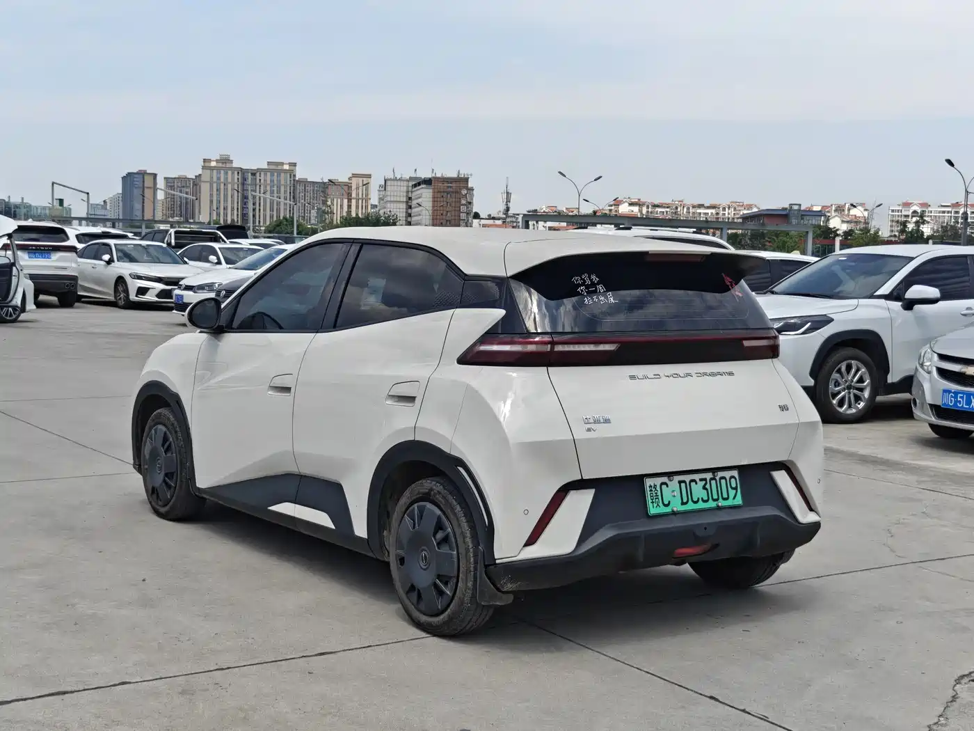 BYD Seagull 2024 Glory Edition 305km Vitality Edition фото 6