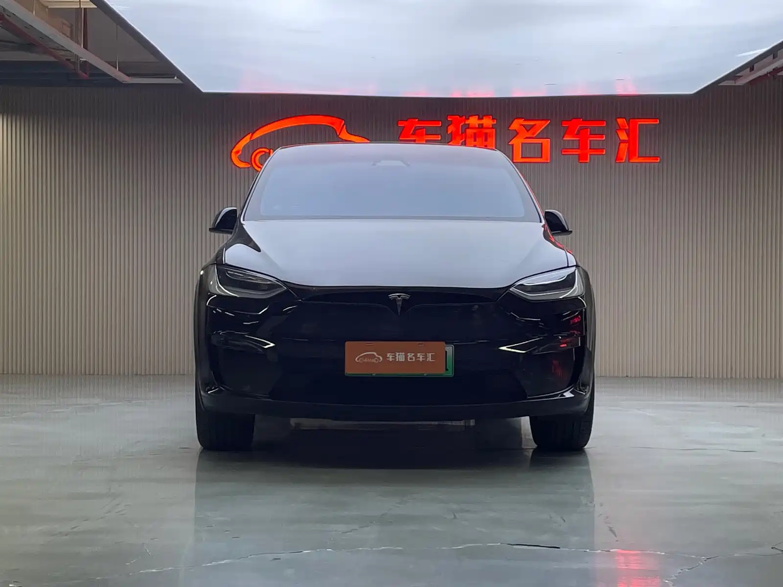 Фото 2 - Tesla Model X