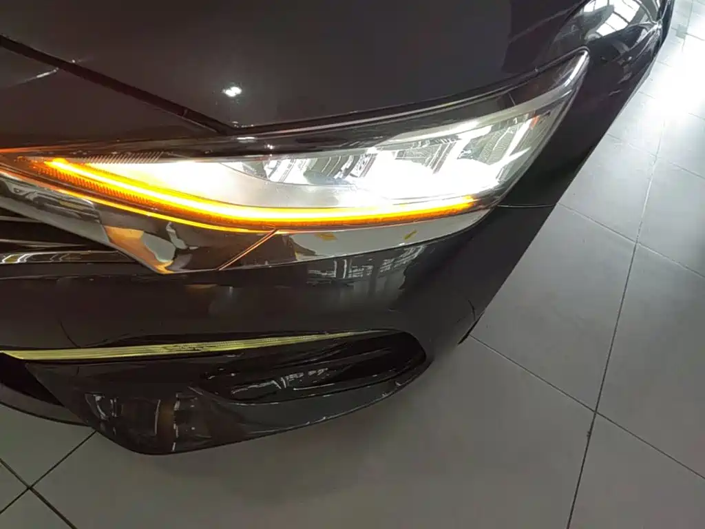 Photo 24 - Hyundai Lafesta