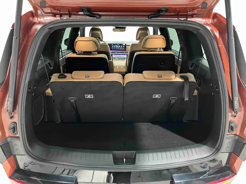 Hyundai Santa Fe 2024 2024 2.0T Connoisseur Ultra