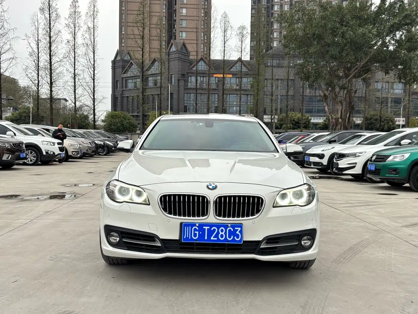 BMW 5 Series 2014 520Li Elegance фото 2